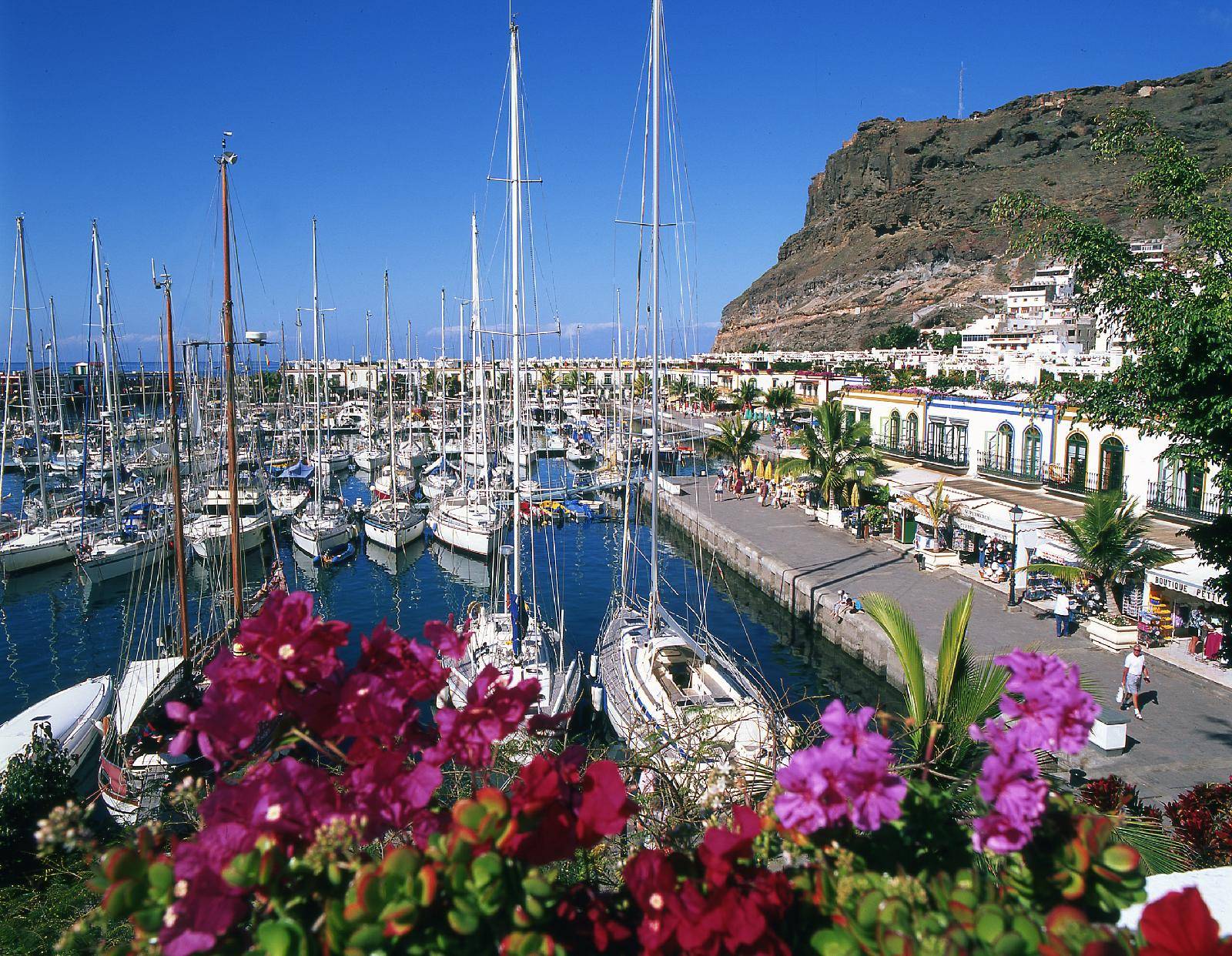 Cordial Muelle Viejo 1
