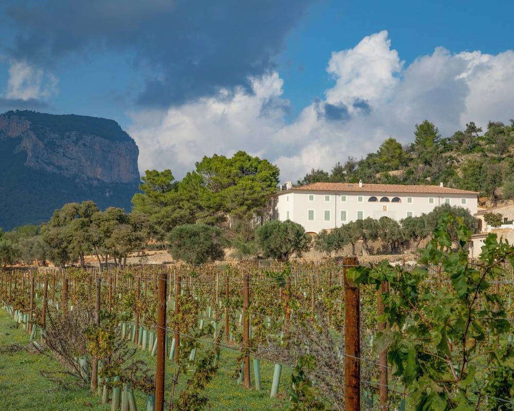 Finca Banyols, Vignette Collection by IHG 1