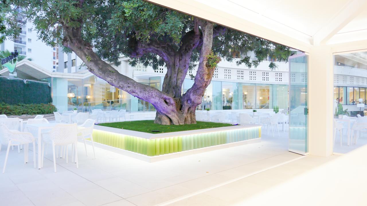 Hotel Primavera Park 1