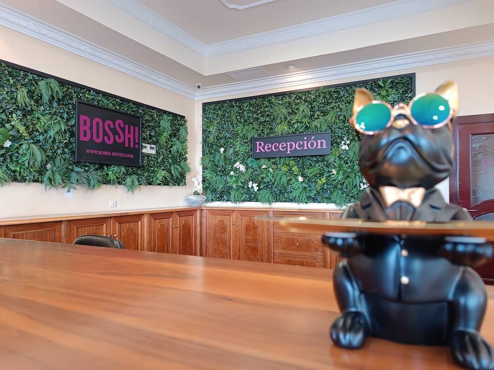 Hotel Bossh Alicia 2