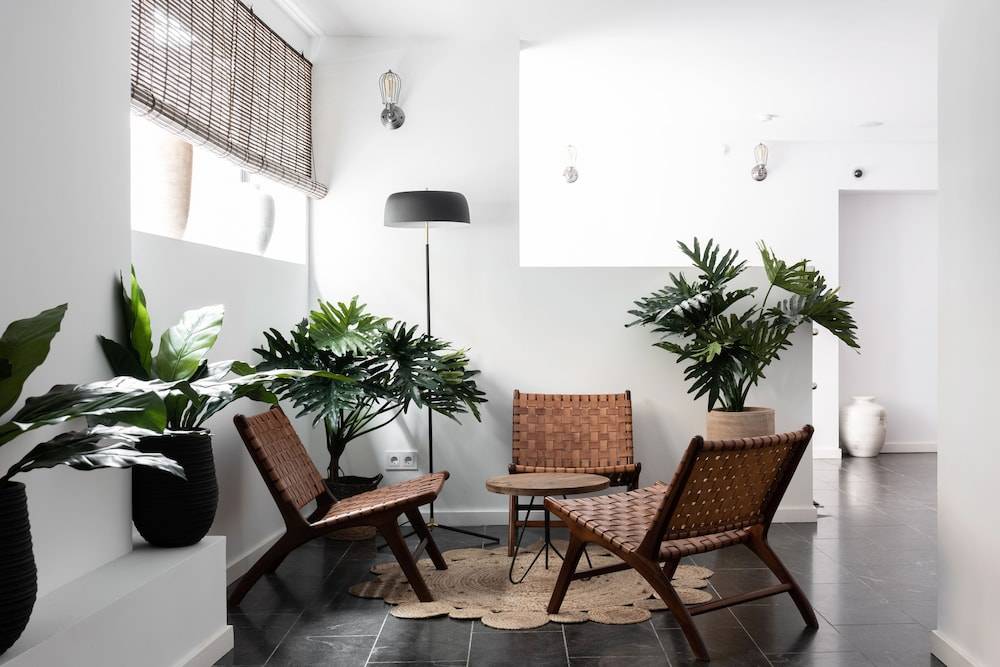 Terreno Suites 1