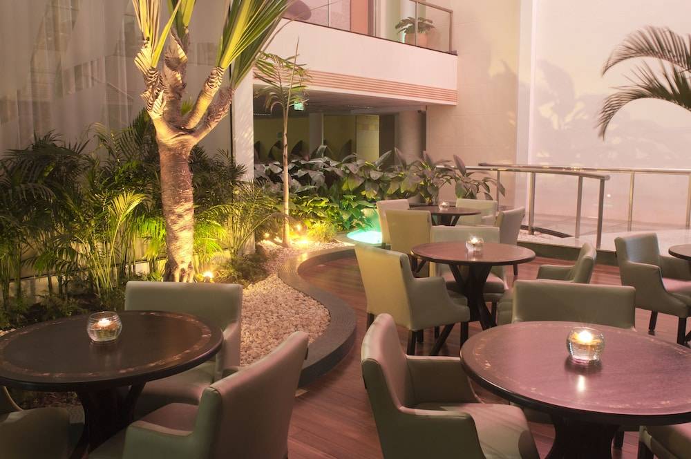 Holiday Inn SAO PAULO PARQUE ANHEMBI by IHG 1