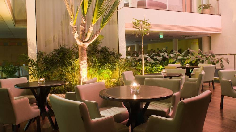 Holiday Inn SAO PAULO PARQUE ANHEMBI by IHG 2