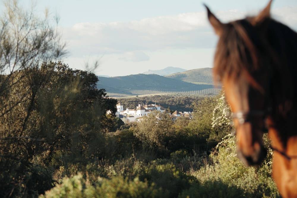 Finca la Bobadilla, Leading Hotels of the World 1