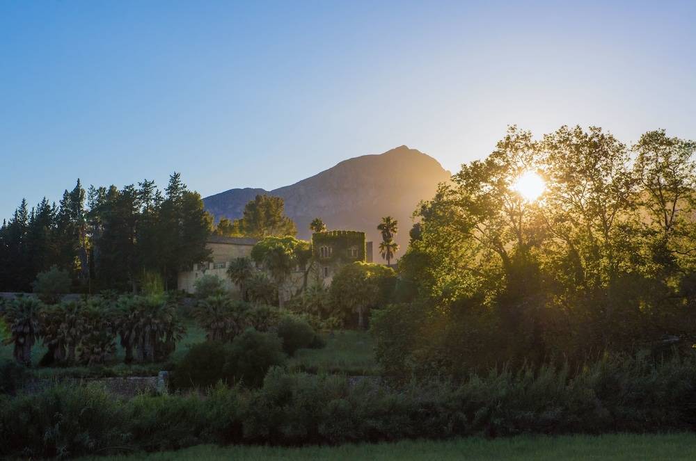 Finca Son Pont 1