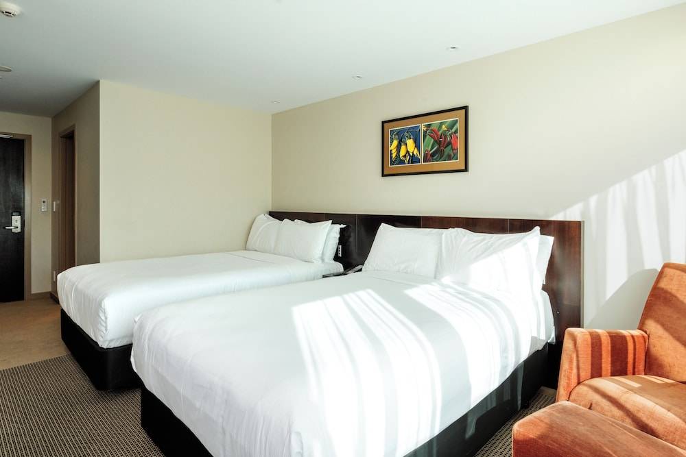 Copthorne Hotel Oriental Bay Wellington 2