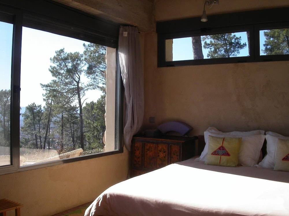 Hotel La Canela 2