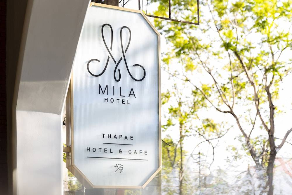 MiLa Thapae@Chiang Mai Old City 1
