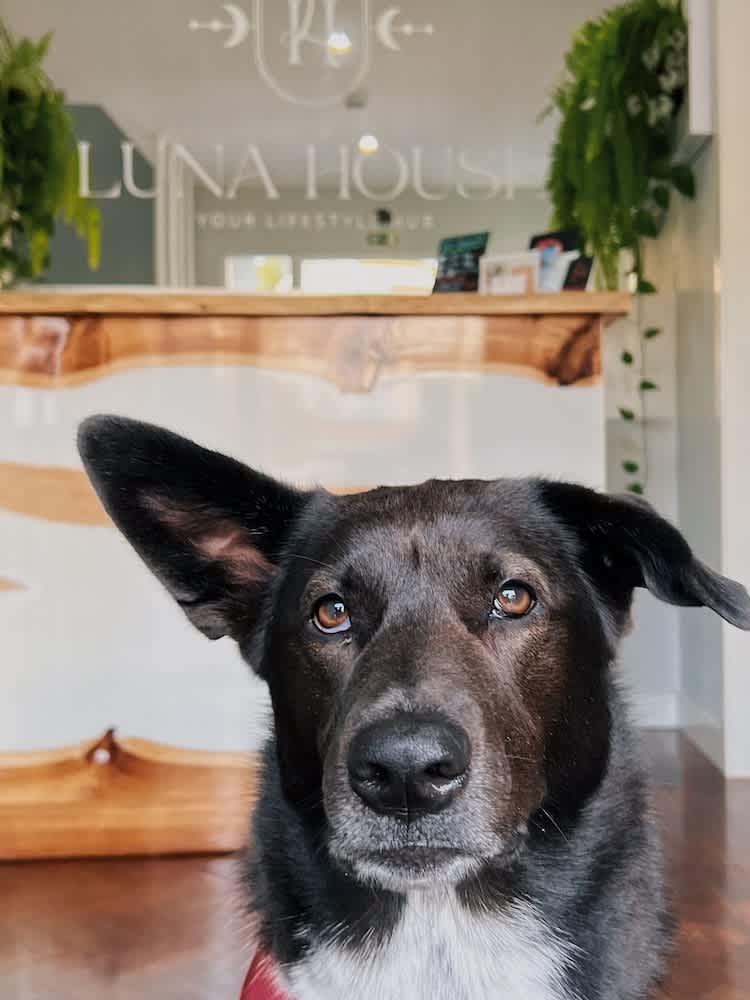 Luna House & Cowork 1