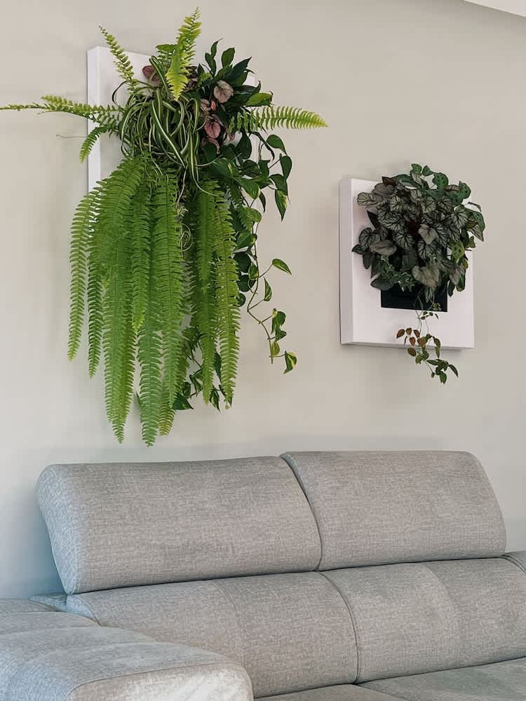 Luna House & Cowork 2