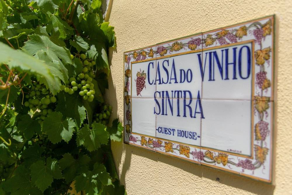 Casa do Vinho Sintra Guest House 1