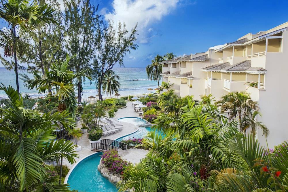 Bougainvillea Barbados 1