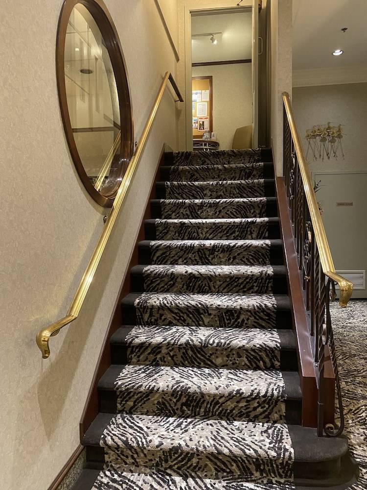 Kingston Hotel 2