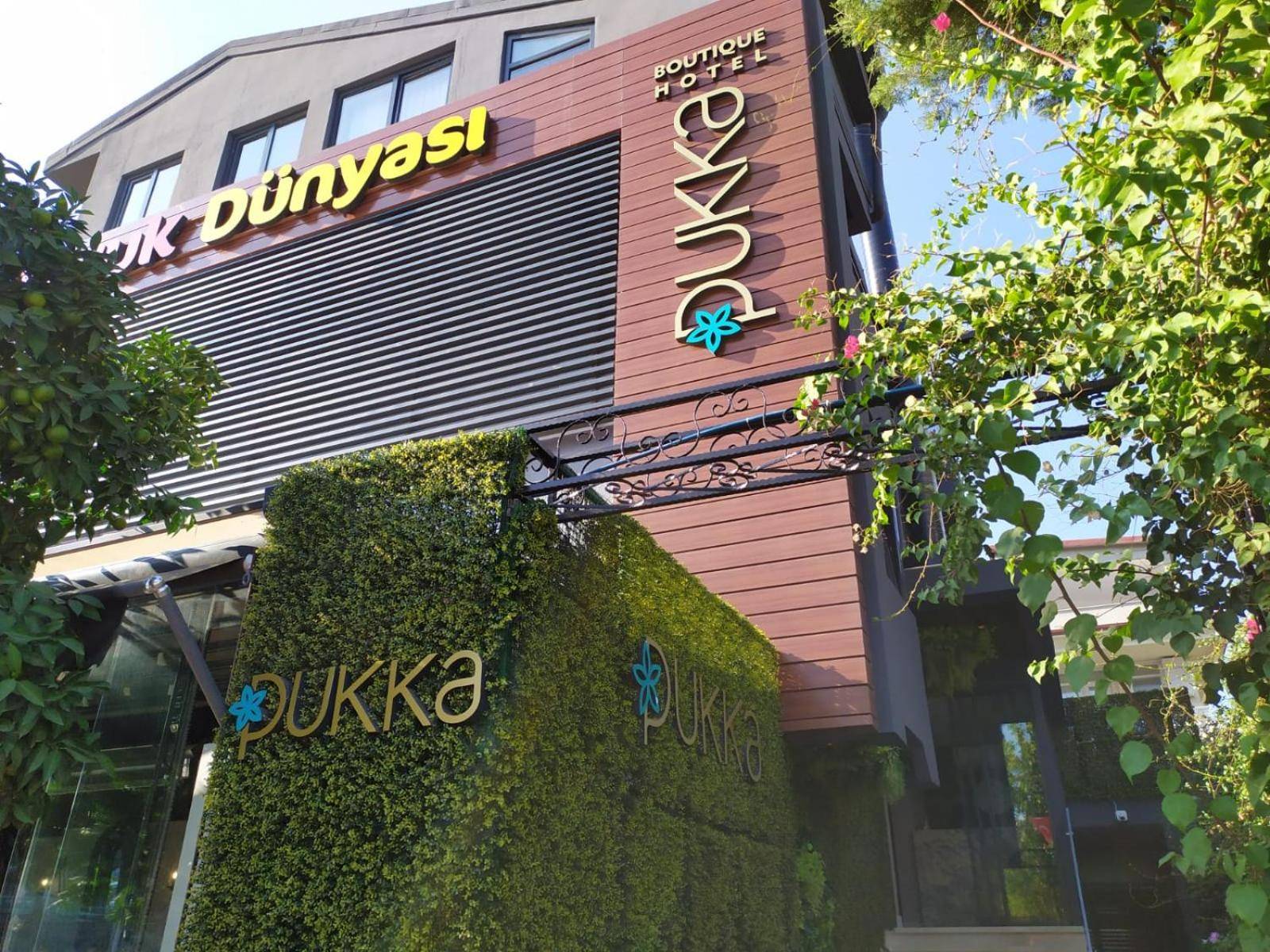 Pukka Hotel 1