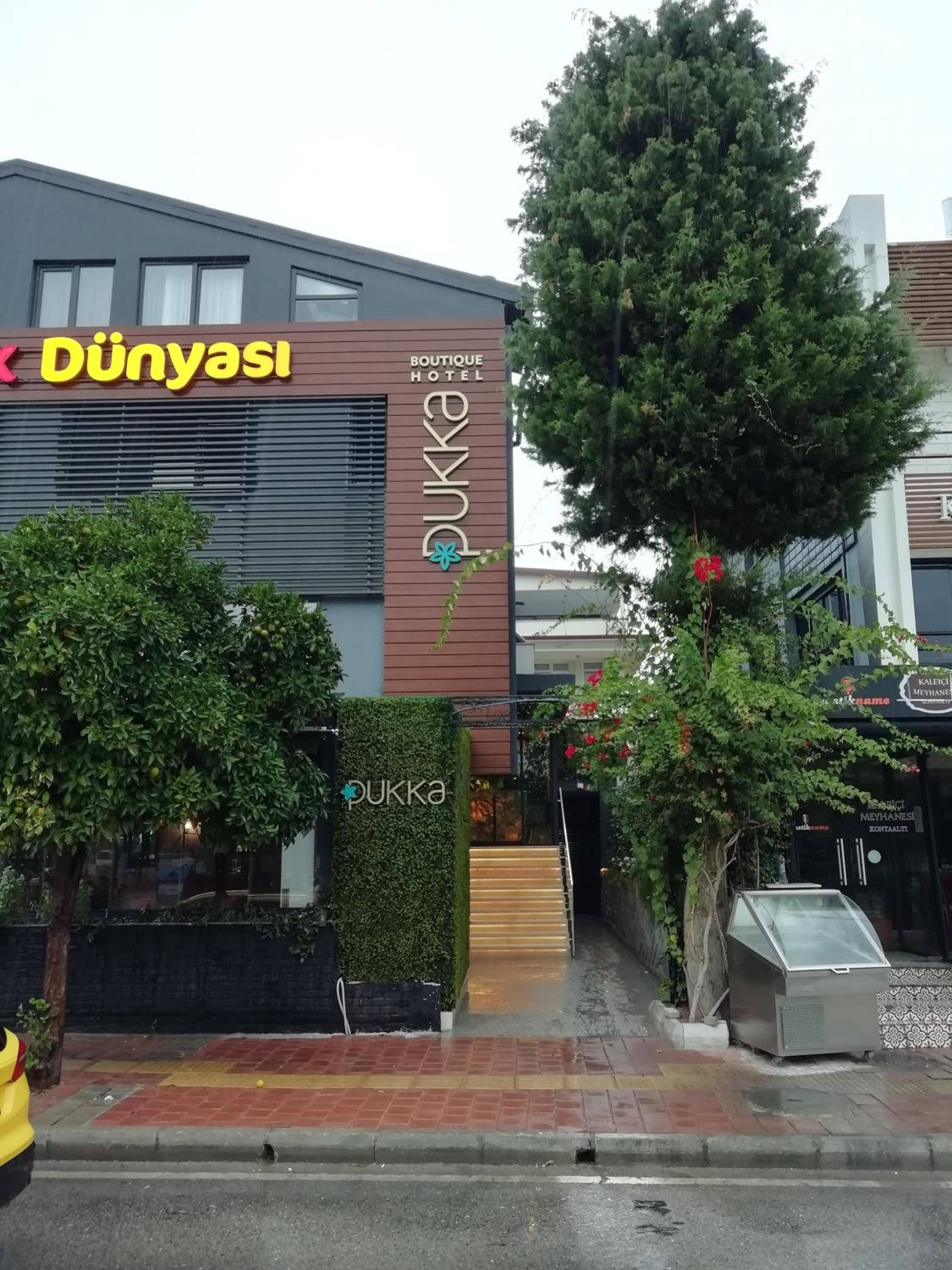 Pukka Hotel 2