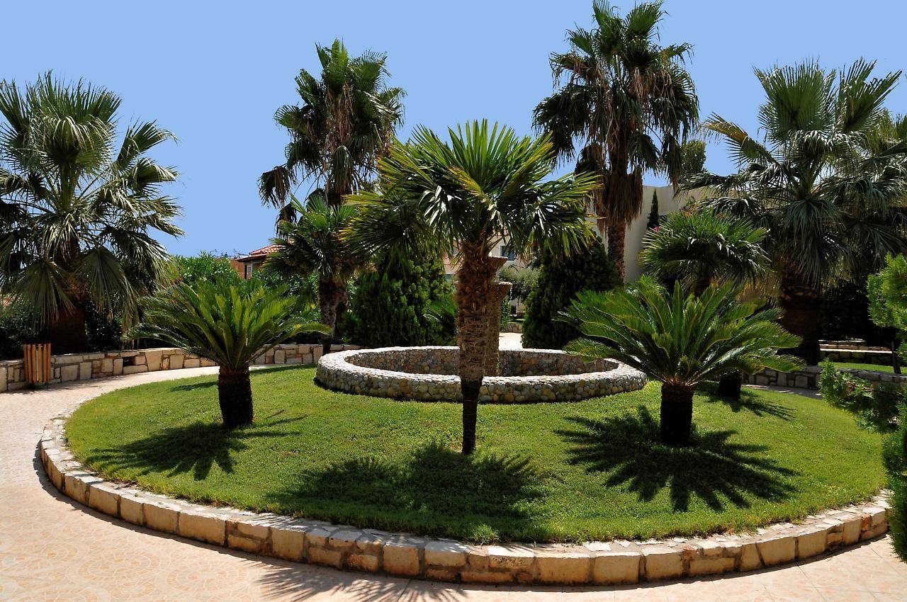Sylvia Hotel Crete 2