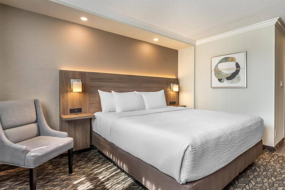 BEST WESTERN PLUS Carlton Plaza Hotel 1