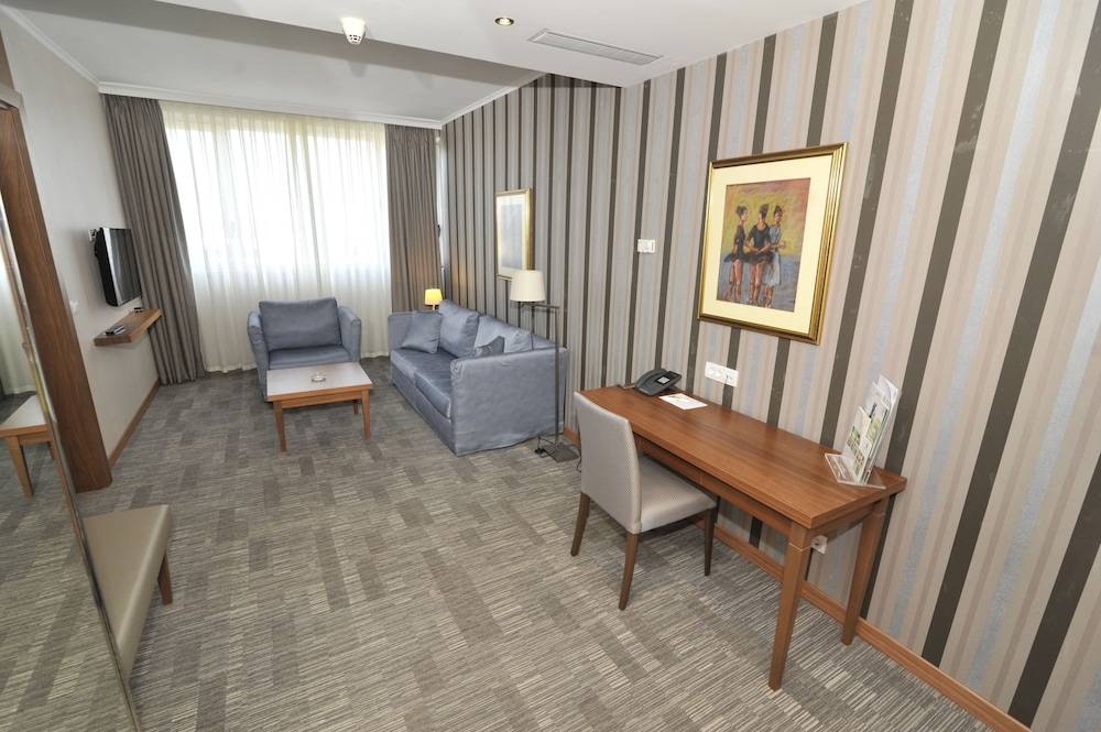 Holiday Inn SKOPJE by IHG 2