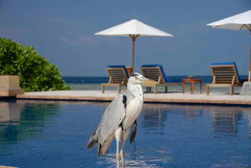 OBLU NATURE Helengeli-All-Inclusive with free Transfers 1