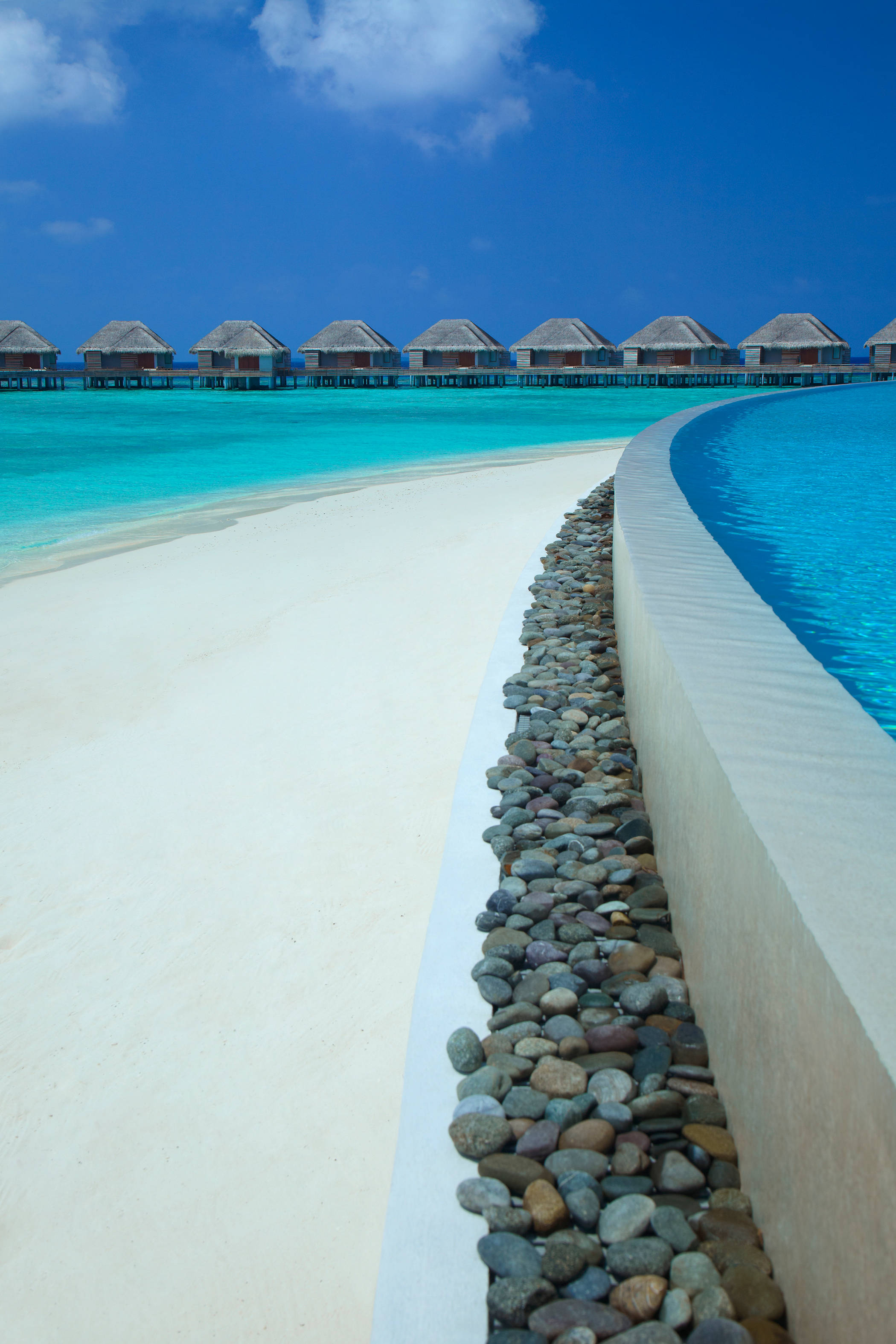 Dusit Thani Maldives - 50 percent off on Transfers for Stays of 5 Nights stay until 20 December 2026 1