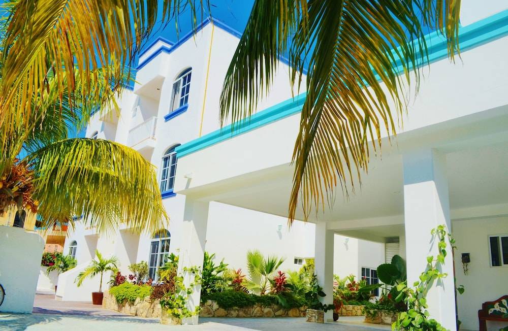 Corales Suites 2