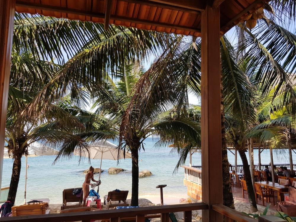 Free Beach Resort 1