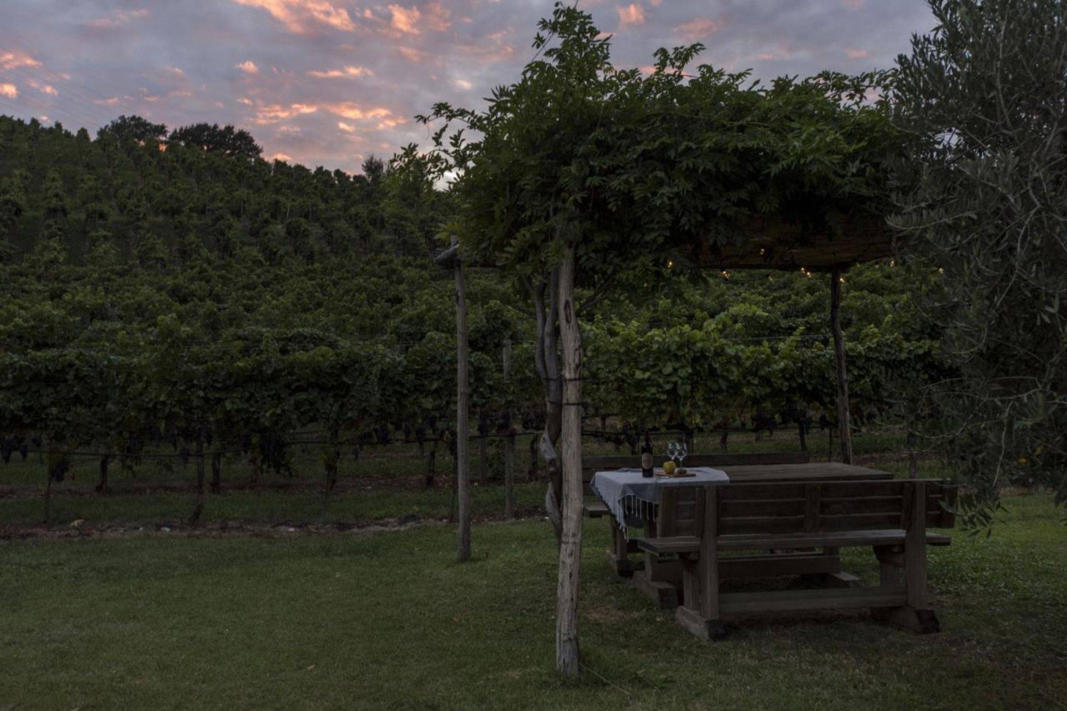 Residence La Vigna 1