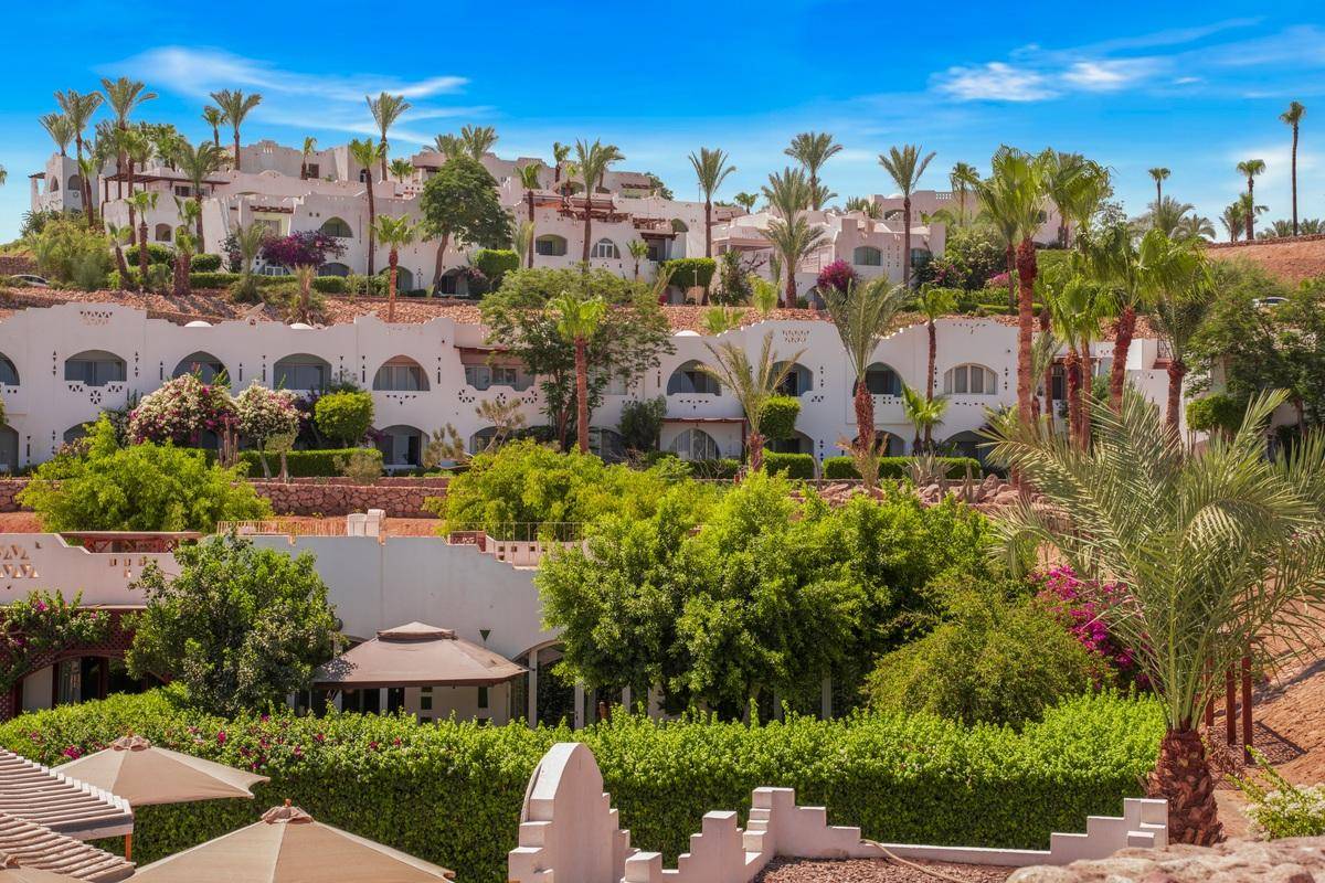Oasis Coral Bay 1