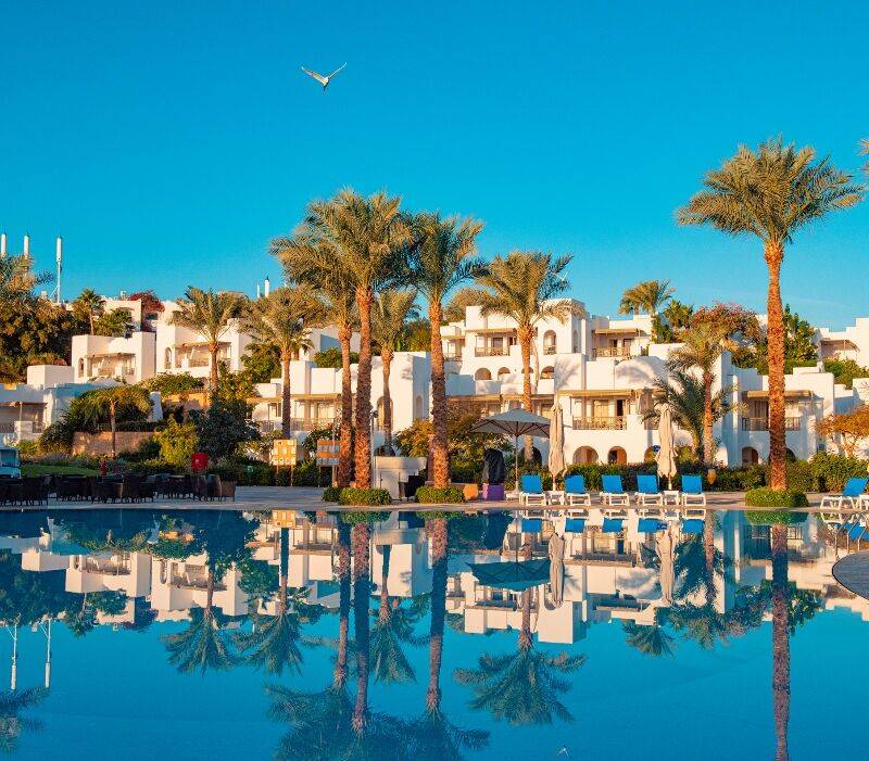 Novotel Sharm el Sheikh Palm 1