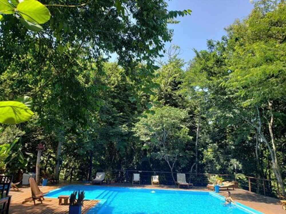 Selva de Laurel 1
