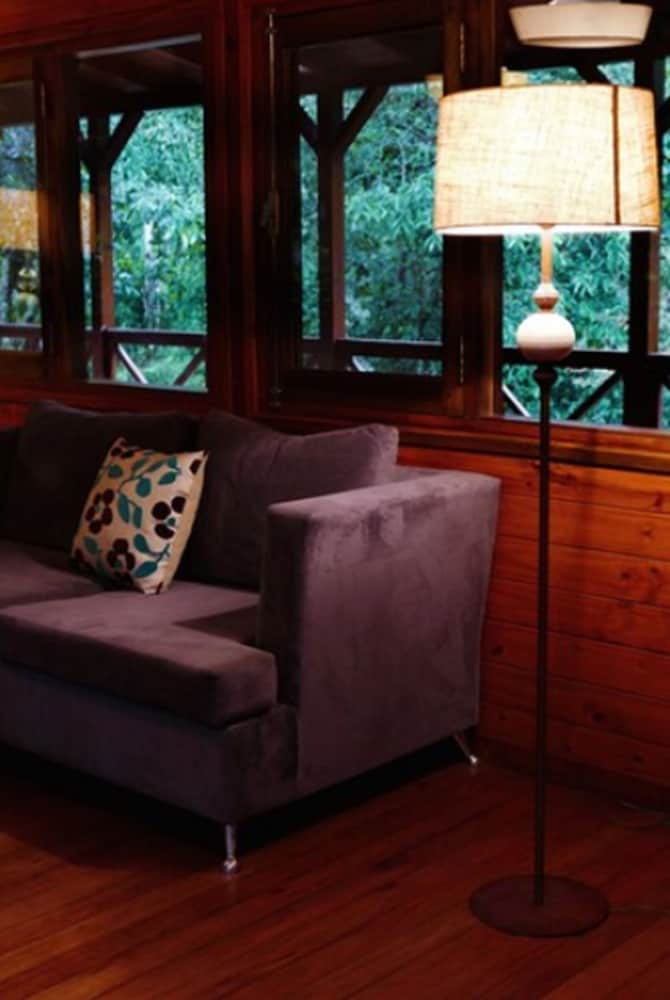 Selva de Laurel 2