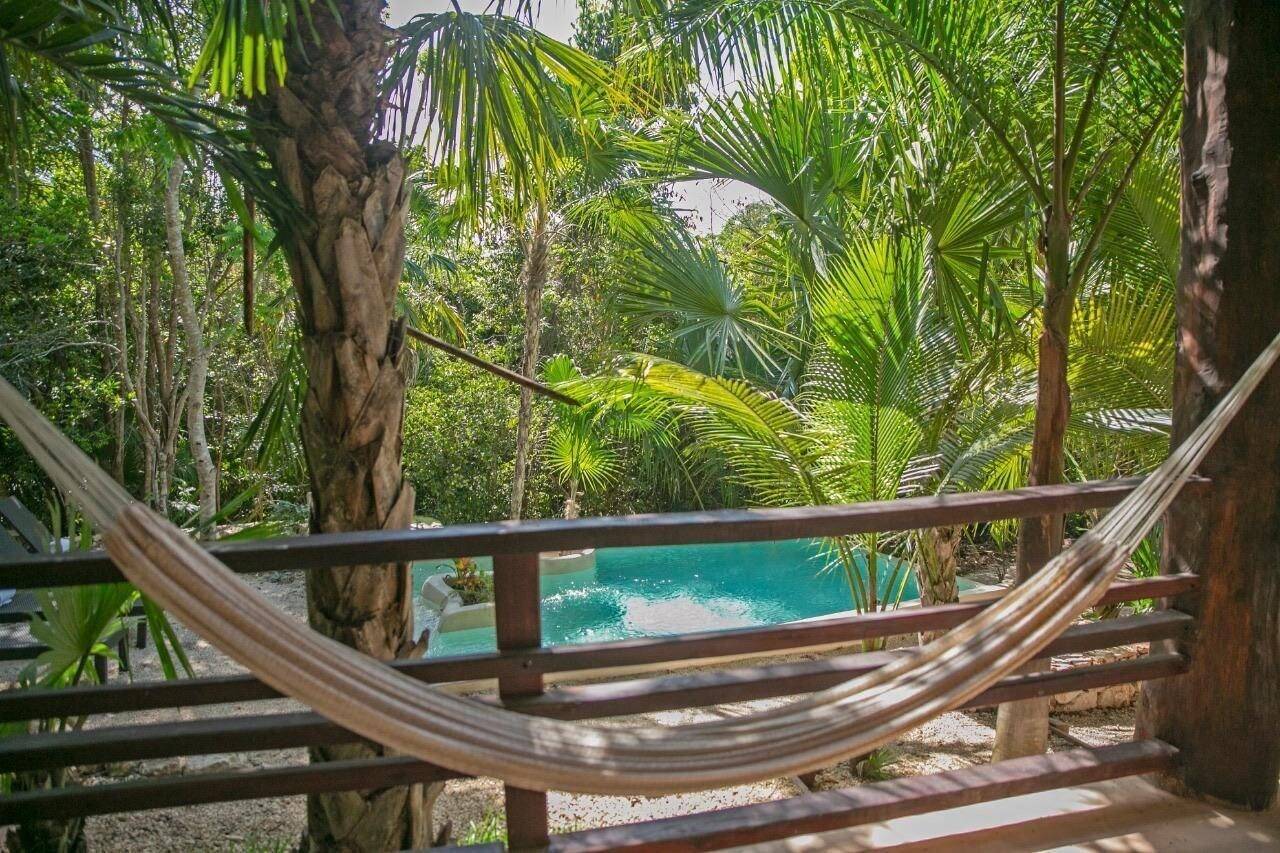 Hotel Buenavista Bacalar Jungle Experience 1