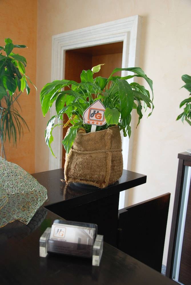 Hotel Gega 2