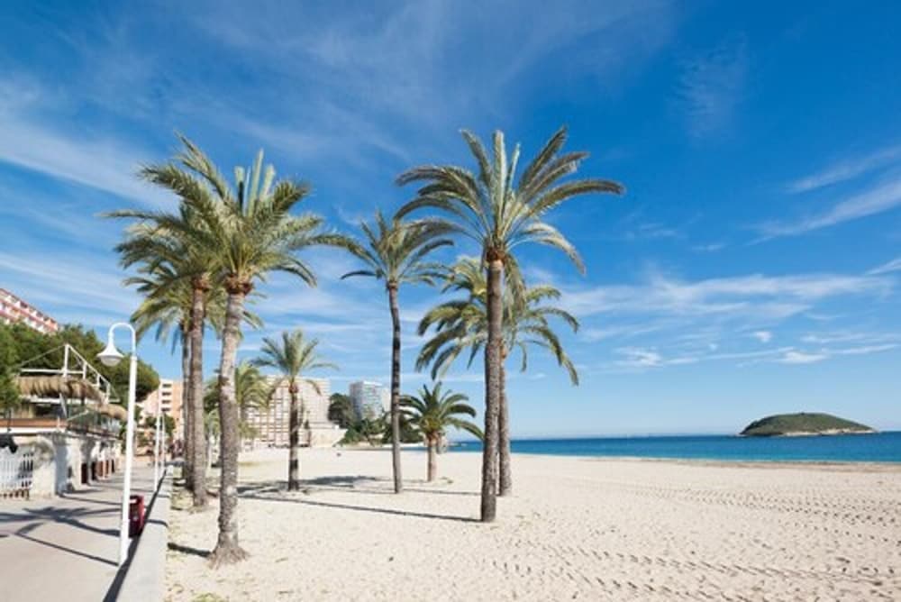 Magaluf Strip Apartment 1