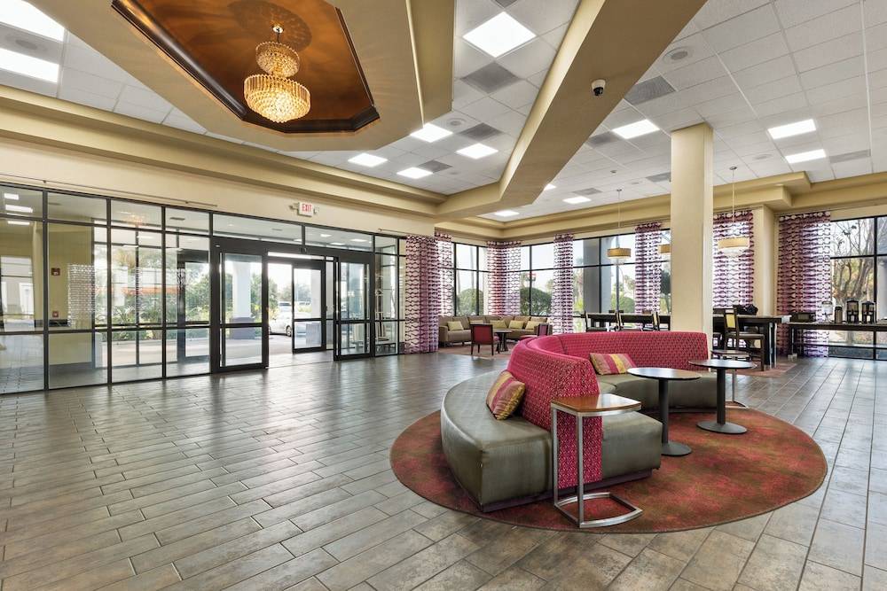 Orlando Palms 2
