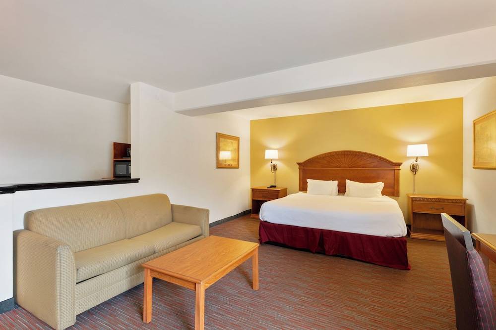 Orlando Palms 1