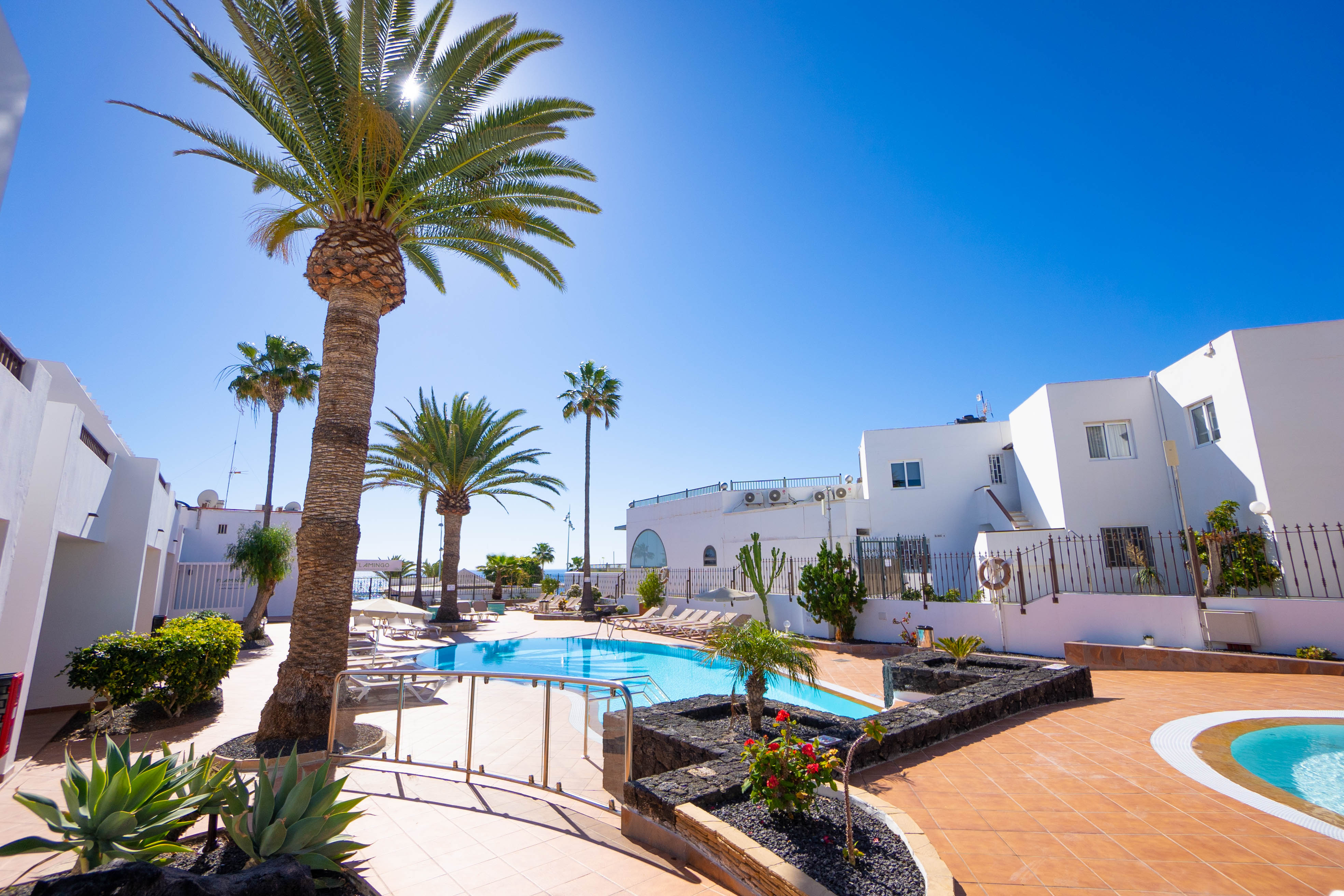 Apartamentos Flamingo 1