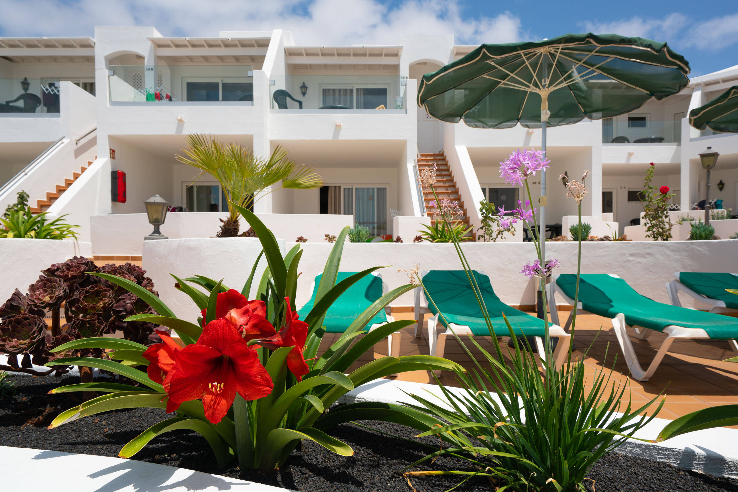 Apartamentos Princesa Guayadeque 1