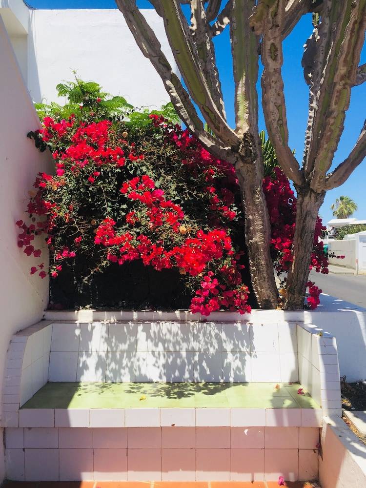 Apartamentos Maribel 2