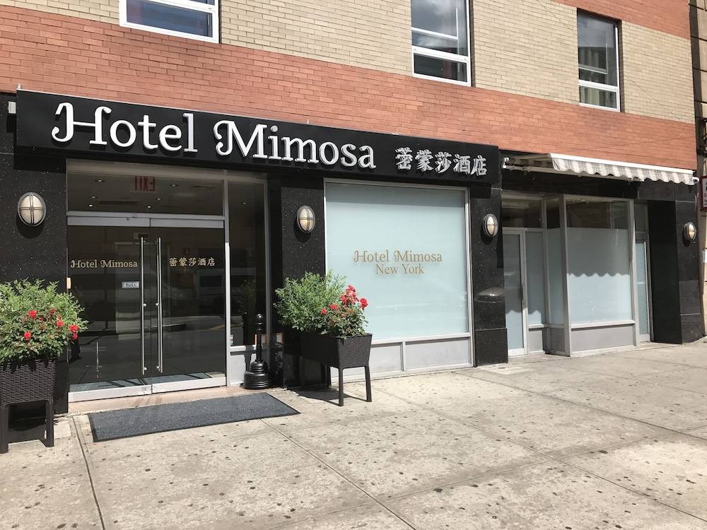 Hotel Mimosa 1