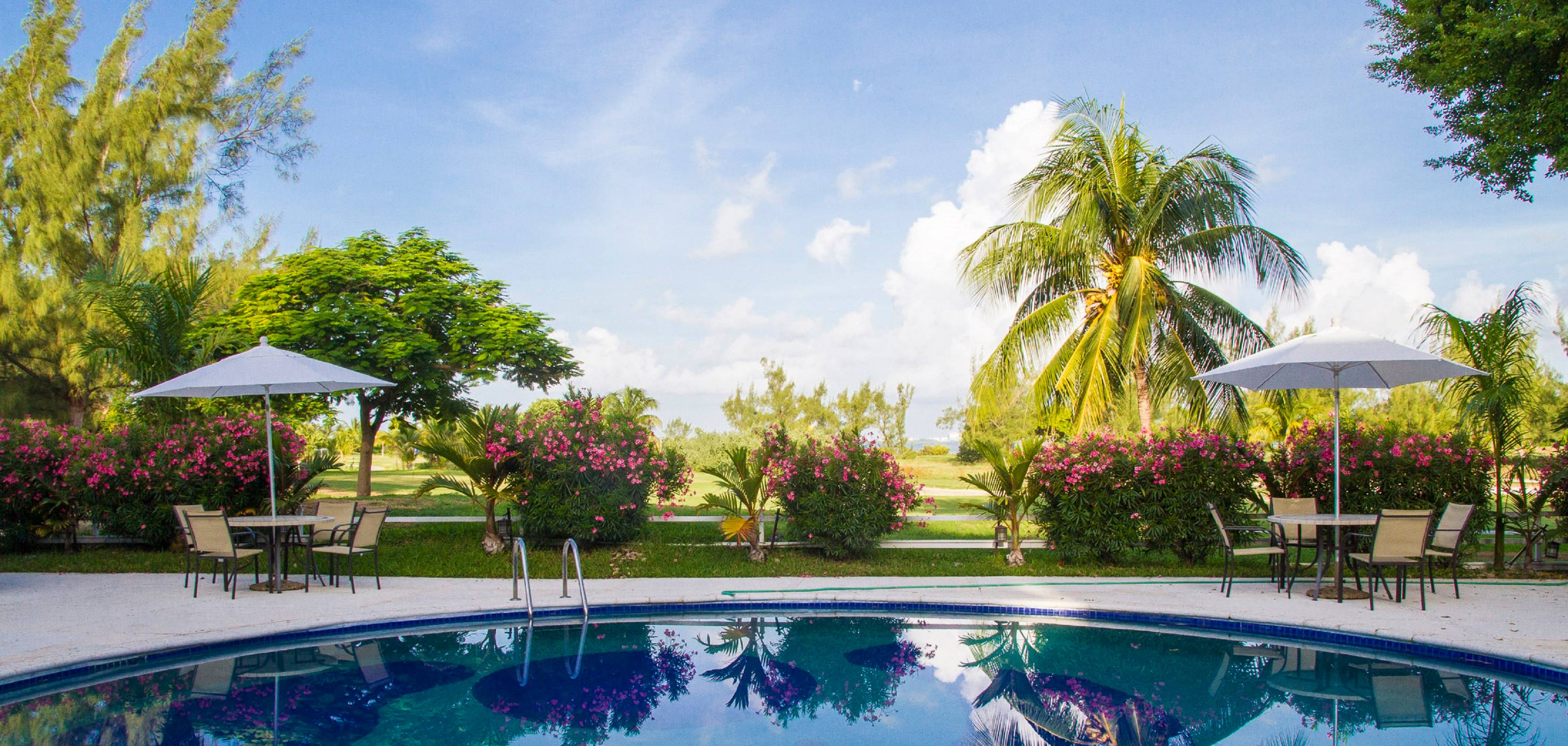 Las Gaviotas Hotel and Suites 2