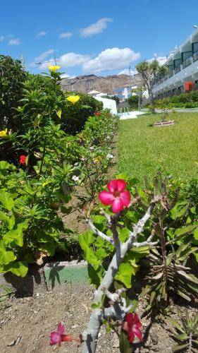 Apartamentos Florida Gran Canaria Adults Only 1