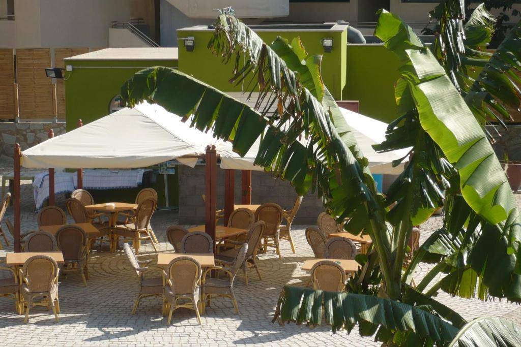 Terraza de Amadores 1