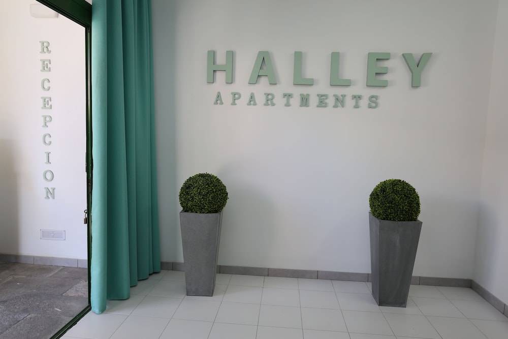 Apartamentos Halley 2