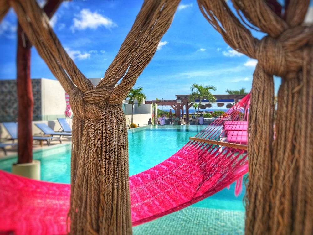 Hotel The Palm 1