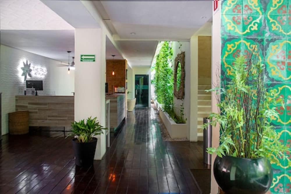 Hotel The Palm 2