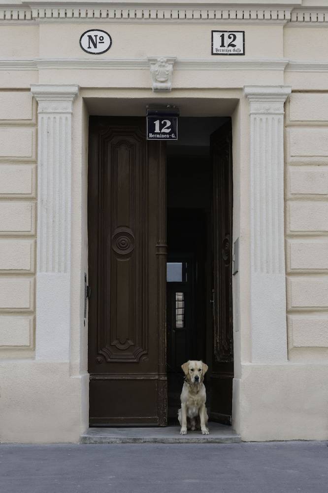 Old Vienna Apartments 1