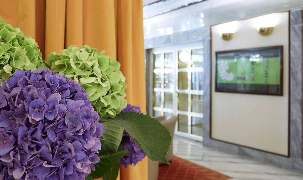 Living Hotel Kaiser Franz Joseph 2