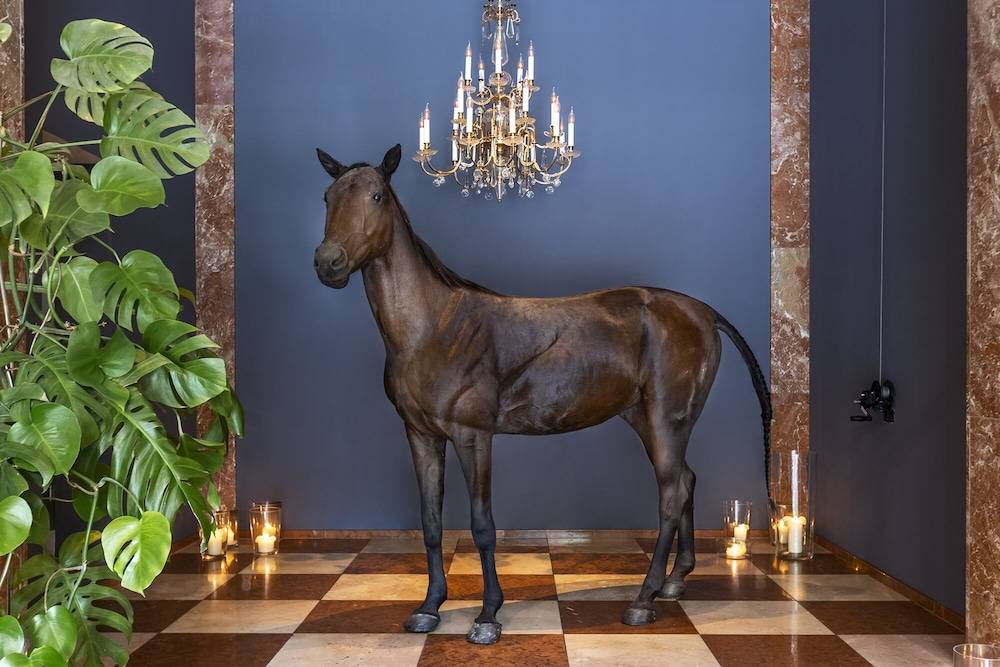 Grand Ferdinand Vienna – Your Hotel In The City Center 2