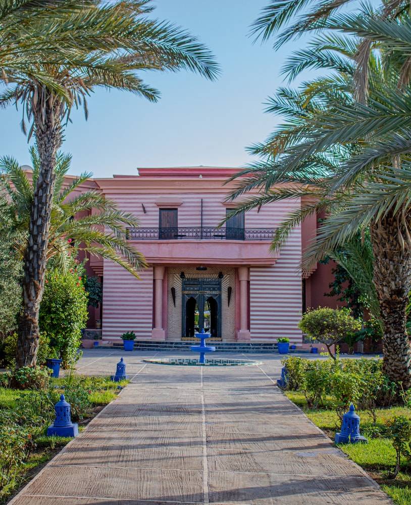 Las Palmeras 1